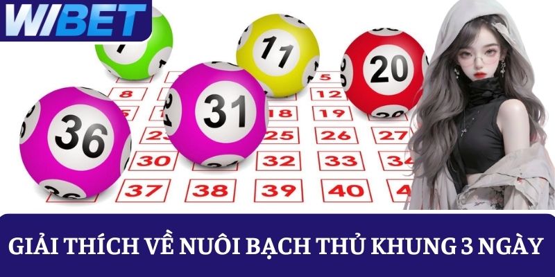 WIBET giải thích chi tiết về hình thức nuôi bạch thủ khung 3 ngày 